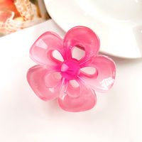 Women's IG Style Sweet Flower Plastic Hollow Out Hair Claws sku image 19