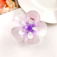 Women's IG Style Sweet Flower Plastic Hollow Out Hair Claws sku image 22