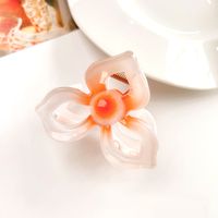 Women's IG Style Sweet Flower Plastic Hollow Out Hair Claws sku image 1