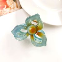 Women's IG Style Sweet Flower Plastic Hollow Out Hair Claws sku image 3
