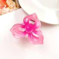 Women's IG Style Sweet Flower Plastic Hollow Out Hair Claws sku image 11