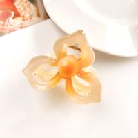 Women's IG Style Sweet Flower Plastic Hollow Out Hair Claws sku image 4