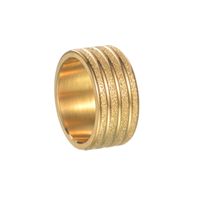 Basic Modern Style Classic Style Round Solid Color 304 Stainless Steel Titanium Steel Plating Gold Plated Men's Rings main image 7