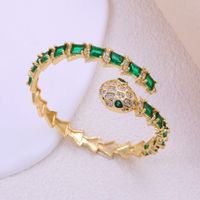 Wholesale Novelty Streetwear Cool Style Snake Copper Inlay Zircon Bangle main image 3