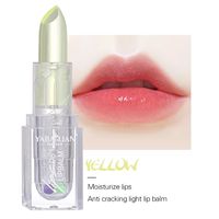 Elegant Solid Color Paste Lipstick sku image 2