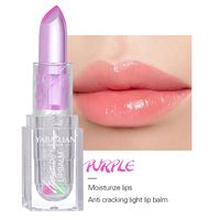Elegant Solid Color Paste Lipstick sku image 6