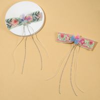 Women's Elegant Simple Style Flower Butterfly Polyester Hair Clip main image 1