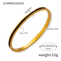 304 Stainless Steel 18K Gold Plated Basic Modern Style Classic Style Inlay Geometric Zircon Bangle main image 6