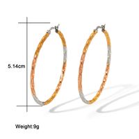 1 Pair IG Style Classic Style Circle 304 Stainless Steel 18K Gold Plated Hoop Earrings main image 2