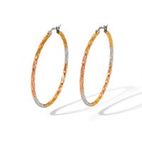 1 Pair IG Style Classic Style Circle 304 Stainless Steel 18K Gold Plated Hoop Earrings main image 3