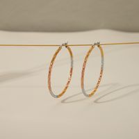 1 Pair IG Style Classic Style Circle 304 Stainless Steel 18K Gold Plated Hoop Earrings main image 6