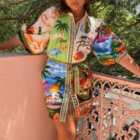 Women's Regular Dress Vacation Shirt Collar Printing Short Sleeve Coconut Tree Pineapple Fish Above Knee Holiday Beach main image 4