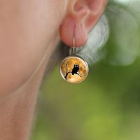 1 Pair Casual Simple Style Animal Round Plating Inlay Alloy Glass Earrings main image 2