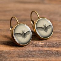 1 Pair Casual Simple Style Animal Round Plating Inlay Alloy Glass Earrings sku image 9