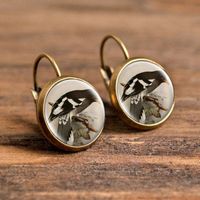 1 Pair Casual Simple Style Animal Round Plating Inlay Alloy Glass Earrings sku image 12