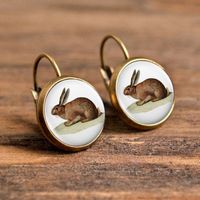 1 Pair Casual Simple Style Animal Round Plating Inlay Alloy Glass Earrings sku image 10
