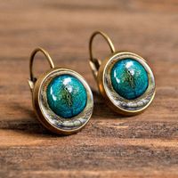 1 Pair Casual Simple Style Animal Round Plating Inlay Alloy Glass Earrings sku image 3