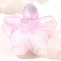 Women's Sweet Simple Style Flower Plastic Hair Clip sku image 37