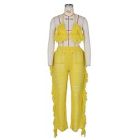 Women's Sexy Solid Color Polyester Polyacrylonitrile Fiber Tassel Pants Sets main image 2