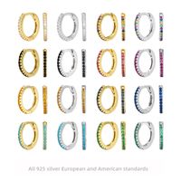 1 Pair Vintage Style Color Block Plating Inlay Sterling Silver Zircon Hoop Earrings main image 2