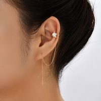 Pair Of New Fashion Copper Micro-inlaid Zircon Branch Pendant Tassel Pierced Earrings sku image 3