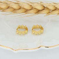 1 Pair Simple Style Solid Color Plating Sterling Silver White Gold Plated Gold Plated Earrings main image 5