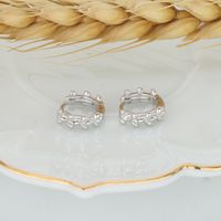 1 Pair Simple Style Solid Color Plating Sterling Silver White Gold Plated Gold Plated Earrings main image 6