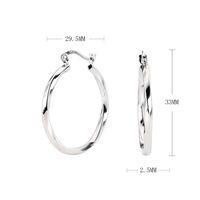 1 Paire Style Simple Cercle Placage Argent Sterling Des Boucles D'oreilles main image 7