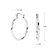1 Paar Einfacher Stil Kreis Überzug Sterling Silber Ohrringe sku image 1