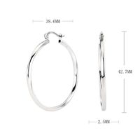 1 Pair Simple Style Circle Plating Sterling Silver Earrings sku image 3