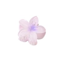 Women's Sweet Simple Style Flower Plastic Hair Clip sku image 3