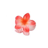 Women's Sweet Simple Style Flower Plastic Hair Clip sku image 14