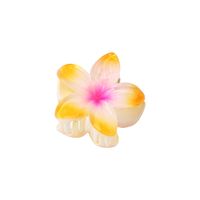 Women's Sweet Simple Style Flower Plastic Hair Clip sku image 17