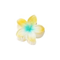 Women's Sweet Simple Style Flower Plastic Hair Clip sku image 15