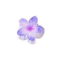 Women's Sweet Simple Style Flower Plastic Hair Clip sku image 20