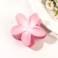 Women's Sweet Simple Style Flower Plastic Hair Clip sku image 30