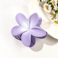 Women's Sweet Simple Style Flower Plastic Hair Clip sku image 28