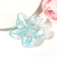 Women's Sweet Simple Style Flower Plastic Hair Clip sku image 31