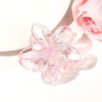 Women's Sweet Simple Style Flower Plastic Hair Clip sku image 32
