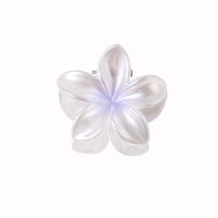 Women's Sweet Simple Style Flower Plastic Hair Clip sku image 10