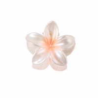 Women's Sweet Simple Style Flower Plastic Hair Clip sku image 12