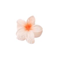 Women's Sweet Simple Style Flower Plastic Hair Clip sku image 6