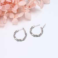 1 Pair Basic Round Plating Sterling Silver Earrings main image 10