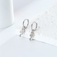 1 Pair Vintage Style Snake Plating Inlay Sterling Silver Zircon White Gold Plated Gold Plated Drop Earrings main image 8