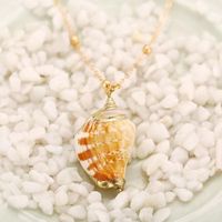 Simple Style Shell Alloy Plating Women's Pendant Necklace sku image 25