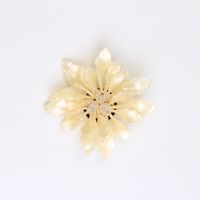 Estilo Simple Flor Arílico Embutido Diamantes De Imitación Mujeres Broches sku image 7