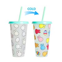 Christmas Casual Vacation Solid Color Plastic Water Bottles sku image 43