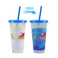 Christmas Casual Vacation Solid Color Plastic Water Bottles sku image 33