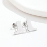 Simple Style Geometric Stainless Steel Irregular Plating Ear Studs 1 Pair sku image 9