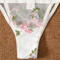 Flower Sheer Bra Sexy Embroidery See-through Low Waist See-through Sexy Lingerie main image 2
